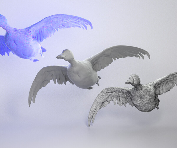 ArtStation Flying Duck 06 Game Assets File