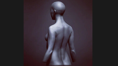 Voivodess - Anatomy study