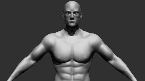 Man Anatomy Character (3D Print Ready)