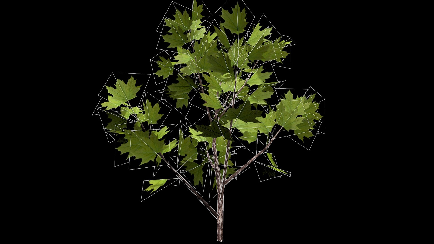 ArtStation - Maple branch | Resources