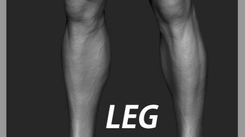 Leg Zbrush