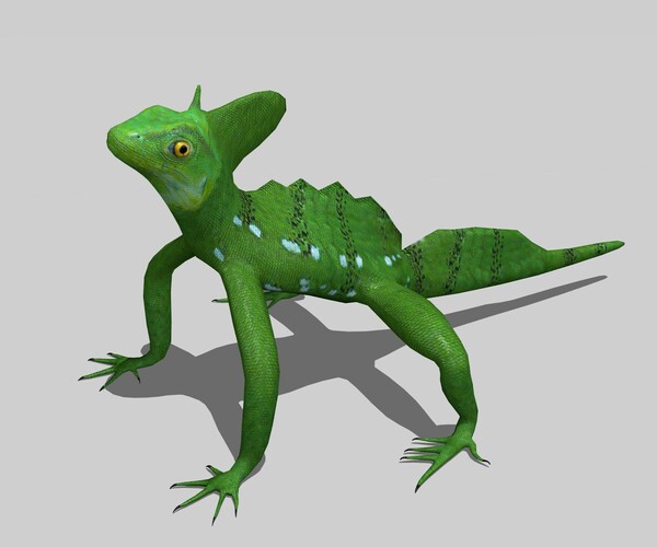 Featured image of post The Best 28 Derpy Lizard