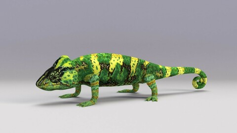 Chameleon