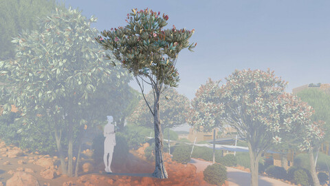 3d models of a skinny bronze loquat tree eriobotrya deflexa