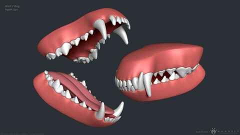 Wolf Dog Mouth and Teeth Set