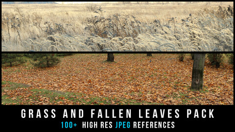 Grass and fallen leaves pack