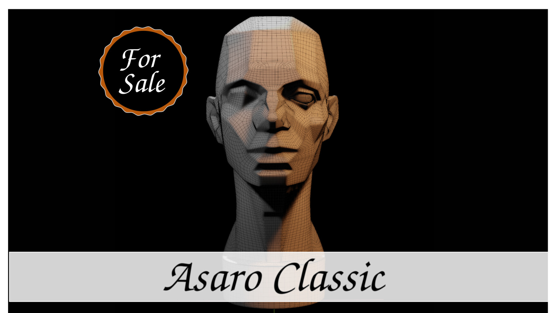 ArtStation - Asaro Heads Pack - Planes of the head 3D model | Resources