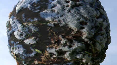 Snow Grass 16 PBR Material