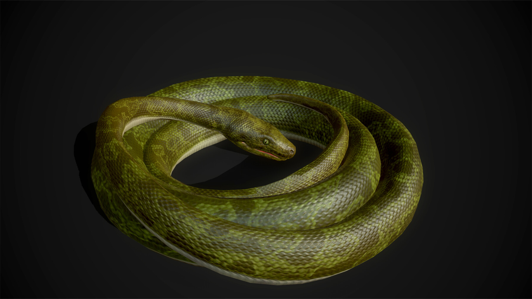 ArtStation - 3D Google Snake (without the snake)