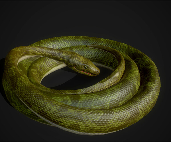 ArtStation - Snakes (Boa) - Game Ready | Game Assets