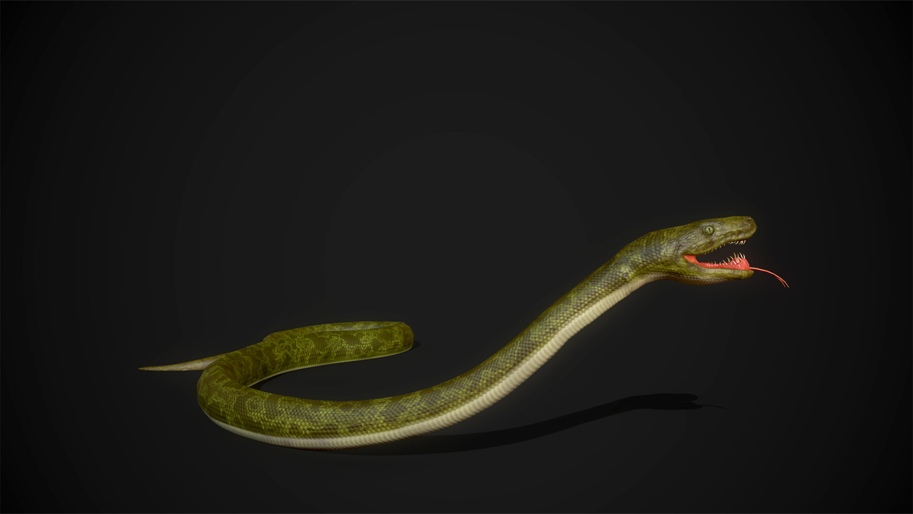 Snake (3D) - CLIP STUDIO ASSETS