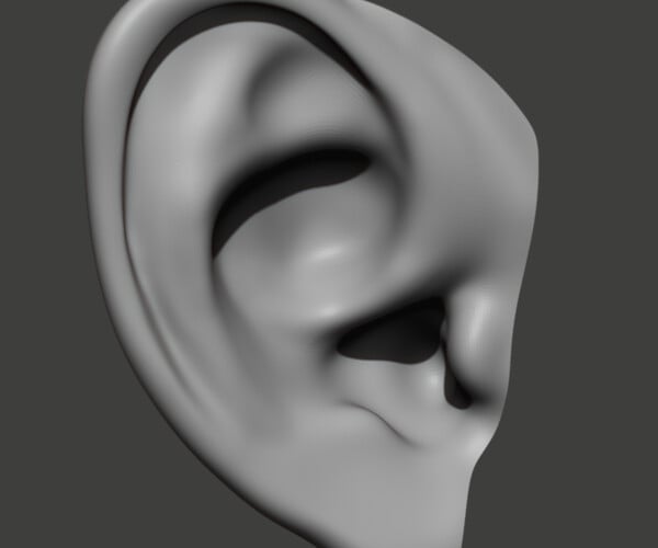 ArtStation - Ears Pack | Resources