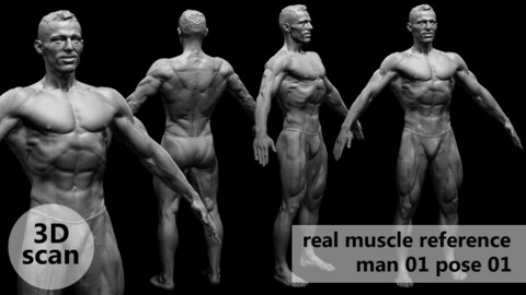 3D scan real muscleanatomy Man01 pose 01