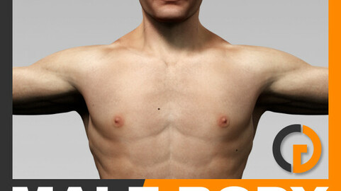 Human Male Body Textured - Anatomy