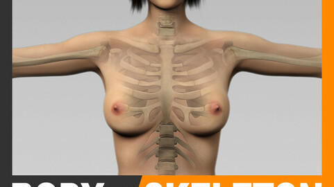 Human Female Body and Skeleton - Anatomy