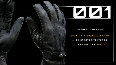 Leather Gloves 001