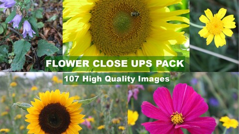 Flower Close Ups Pack