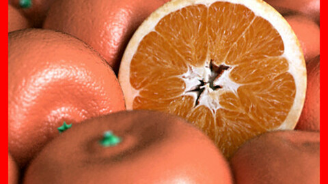 Orange Tangerine Mandarin Clementine