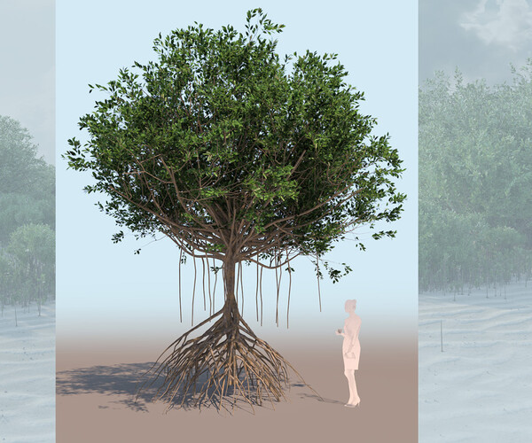 ArtStation - rhizophora mangle mangrove 3D tree b | Resources