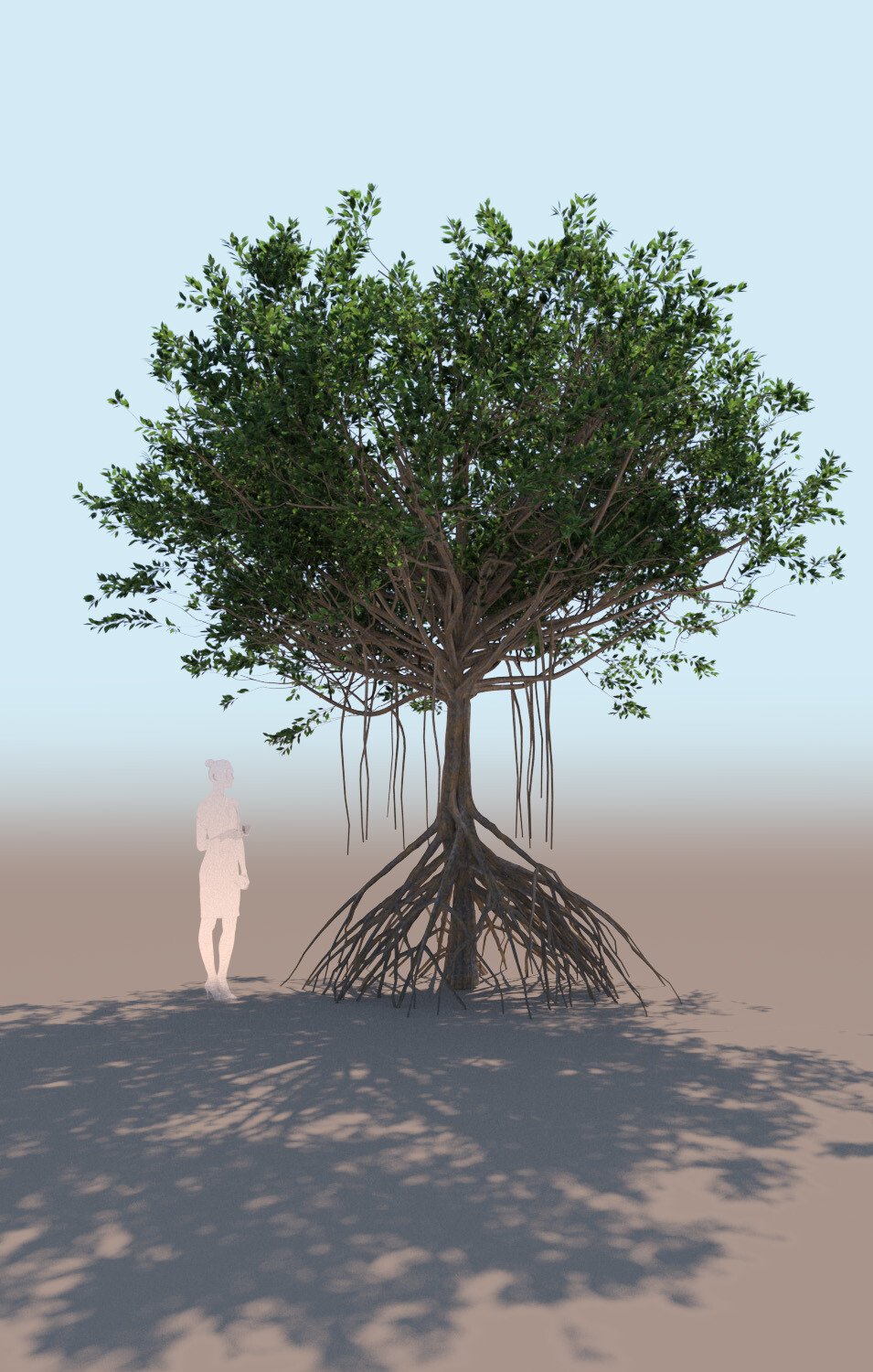 ArtStation - rhizophora mangle mangrove 3D tree b | Resources