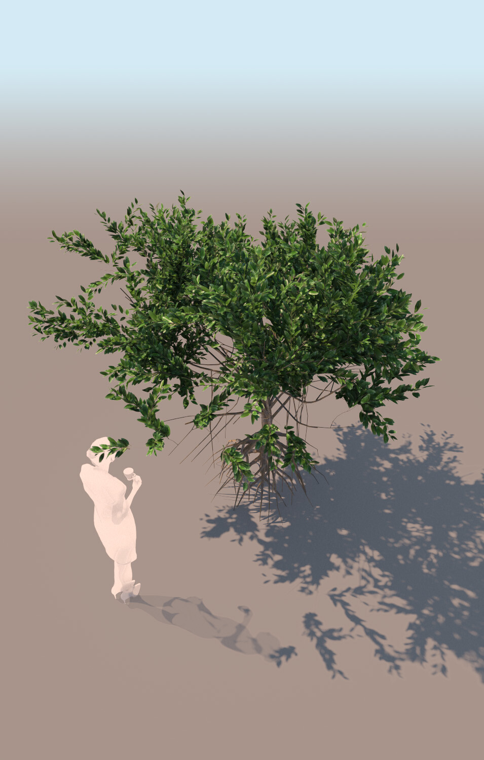 ArtStation - Rhizophora Mangle Mangrove 3D Tree C | Resources