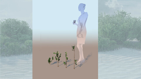 rhizophora mangle mangrove 3D grasses