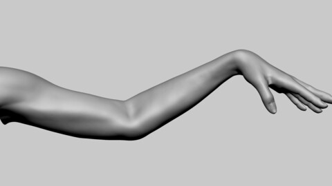 Female Arm