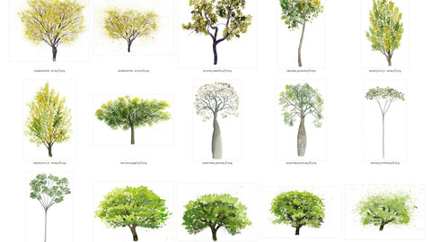 Watercolor Cutout Tree PACK 01