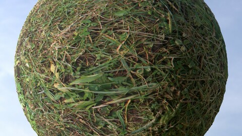 Grass 1 PBR Material