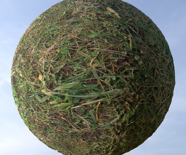 ArtStation - Grass 1 PBR Material | Game Assets