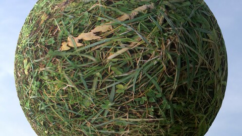 Grass 2 PBR Material