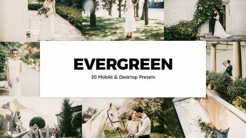 20 Evergreen LUTs and Lightroom Presets