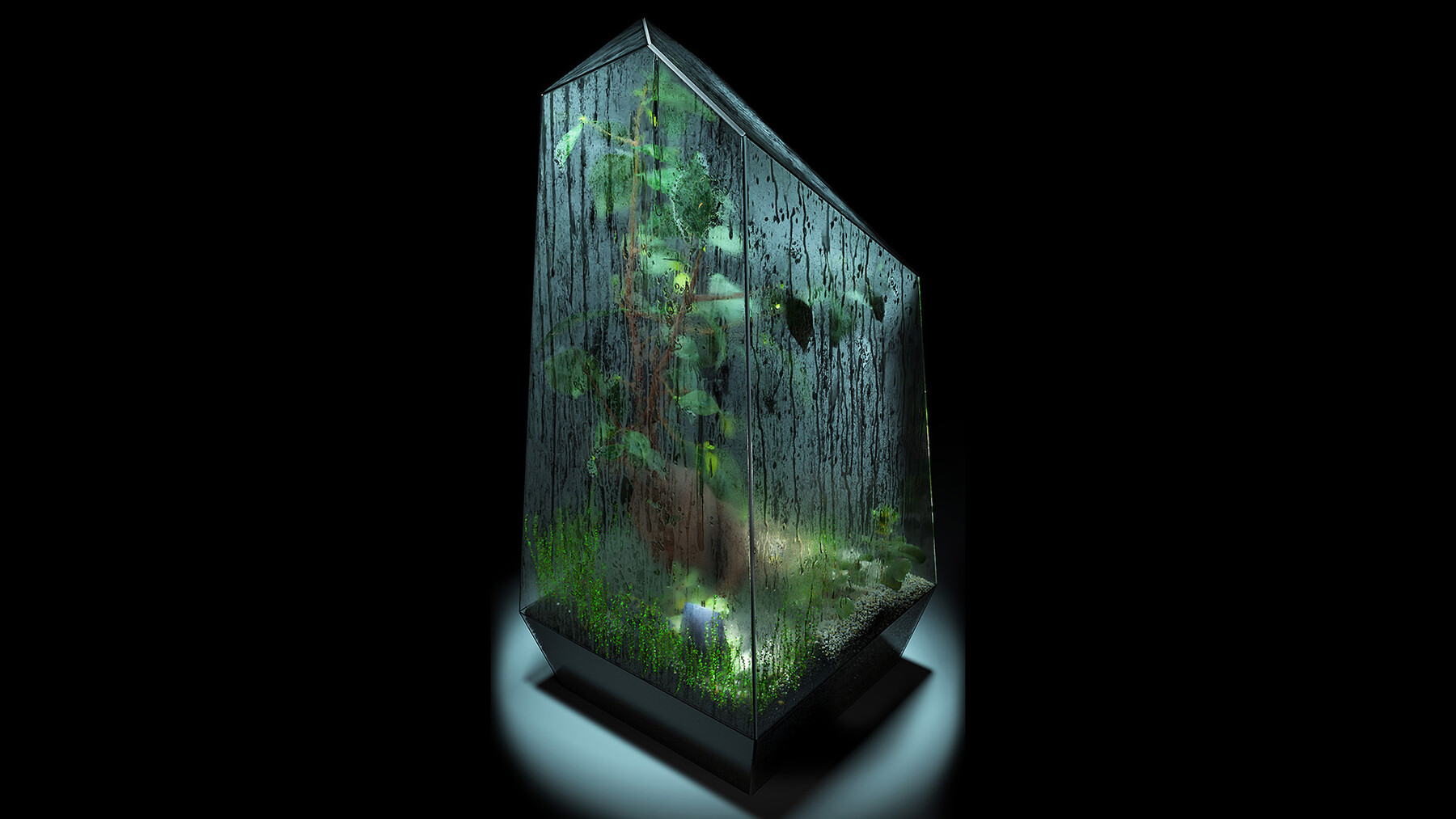 ArtStation Foggy Wet Bonsai Terrarium Resources