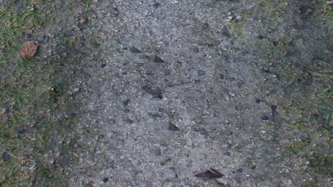 Gravel Path 2 PBR Material