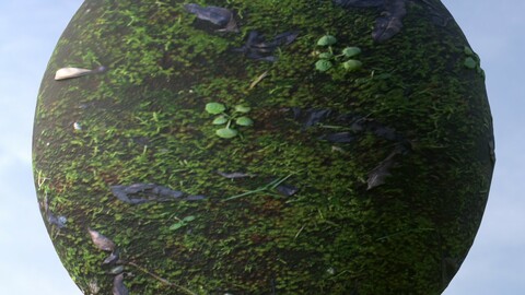 Mossy Ground 3 PBR Material