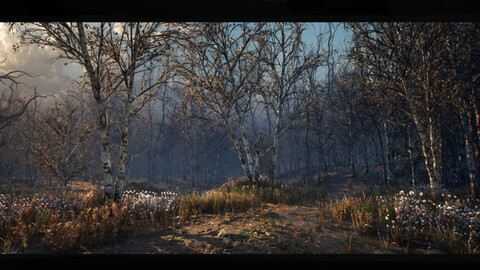 Autumn Birch Forest Environment  [UE4]