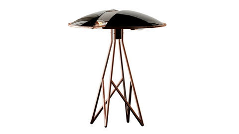 Creativemary BEETLE TABLE