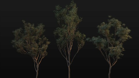 manuka tree asset pack