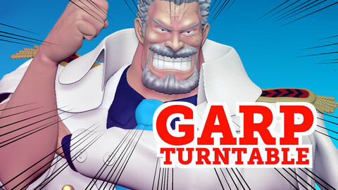 Garp One Piece 3D Print