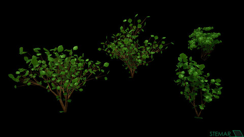 3D Bush Set HD Foliage Assets