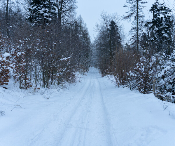 ArtStation - SNOW environment - 177HIGH QUALITY photos, 42 MPX | Resources