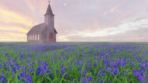 Flower Field Church