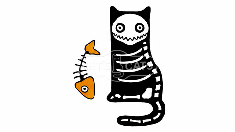 Skeleton Cat