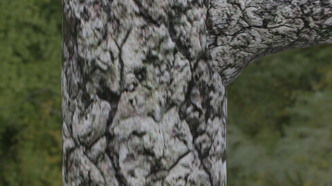 Tree Bark 12 PBR Material
