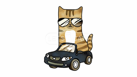 Driver Cat