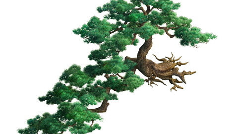 Game Model - Taoist comprehension scene - Pine 01