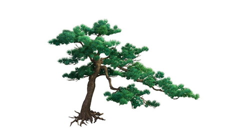 e Model - Taoist comprehension scene - Pine 06 01