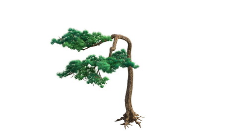 e Model - Taoist comprehension scene - Pine 09 01