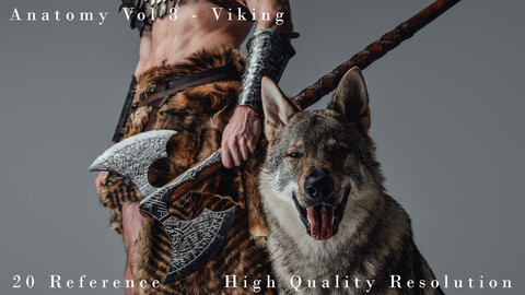 Anatomy Vol 8 - Viking