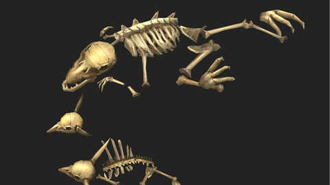 Game Model Arena - bone remains of animals 01